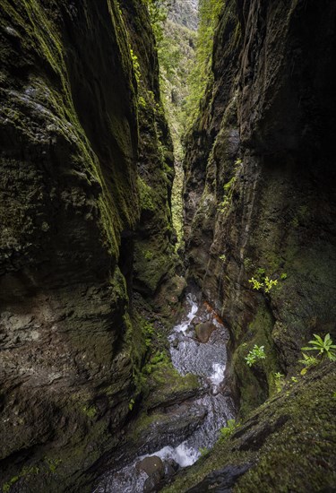 Narrow gorge of the Ribeira Grande