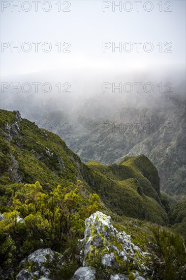 Fog in the mountains