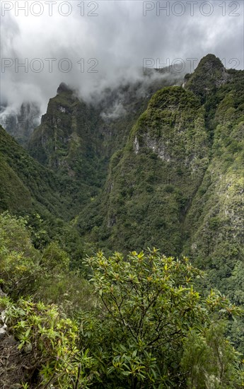 View of steep forested cloud-covered mountains