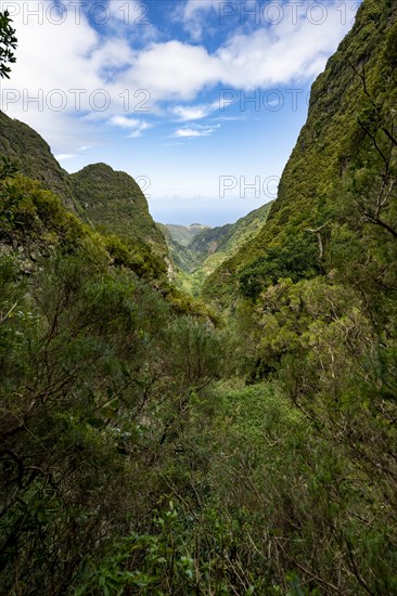 View of steep forested mountains