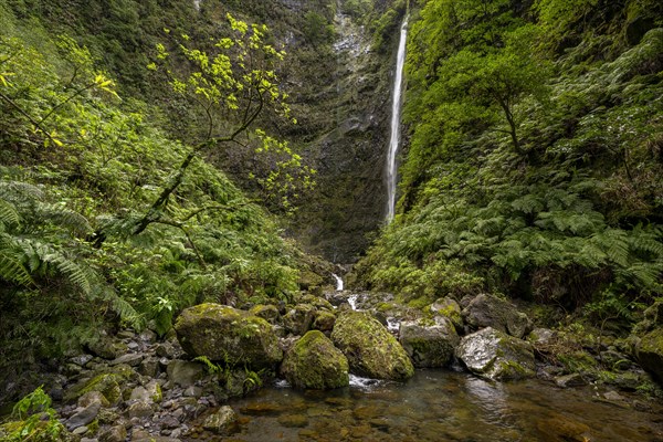 Waterfall on a steep rock face in the Caldeirao Verde