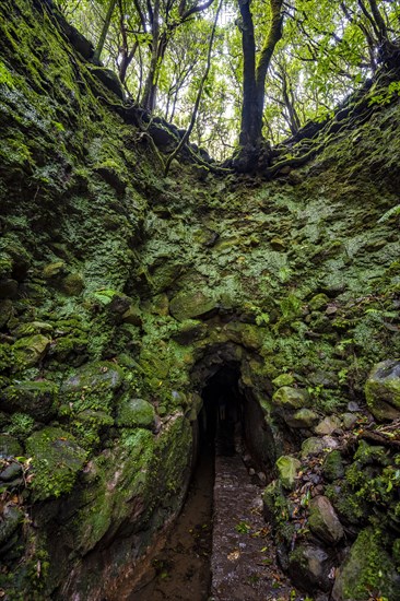 Hiking trail