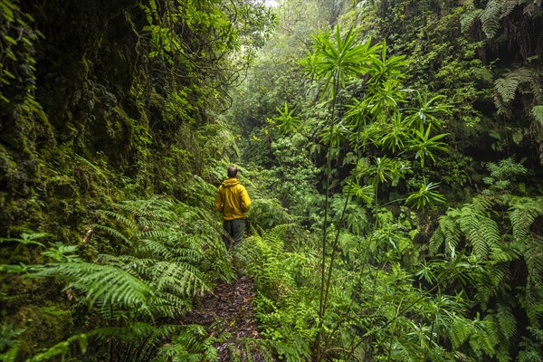 Hikers on a narrow footpath