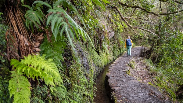 Hiker on a Levada