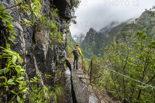 Hikers on a narrow path along a levada