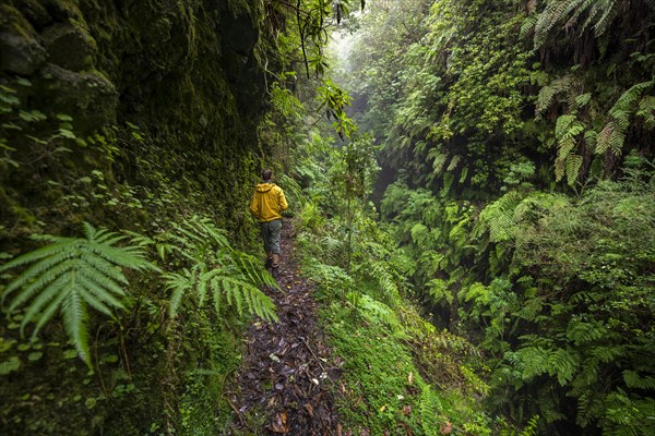 Hikers on a narrow footpath