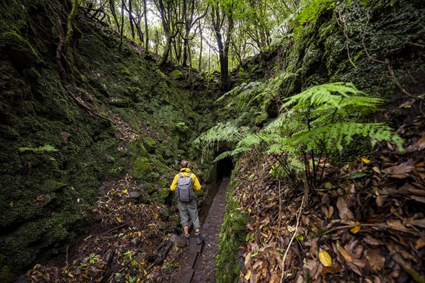 Hiker on a hiking trail