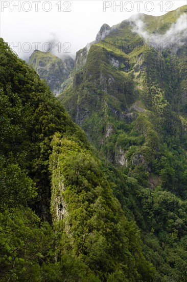 Inland landscape