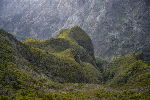 Fog in the mountains