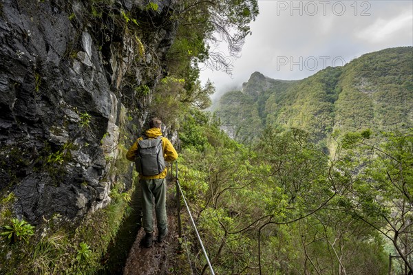 Hikers on a narrow path along a levada