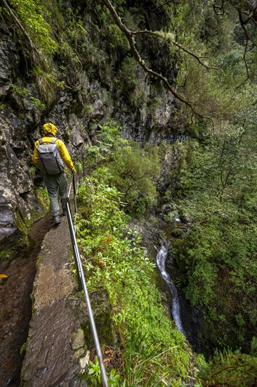 Hikers on a narrow path along a levada