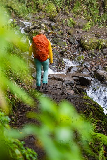 Hiker on a Levada