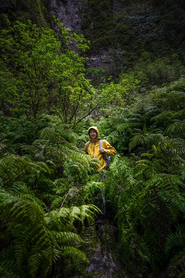 Hikers among ferns in the jungle