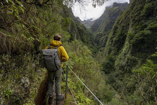 Hikers on a narrow path along a levada