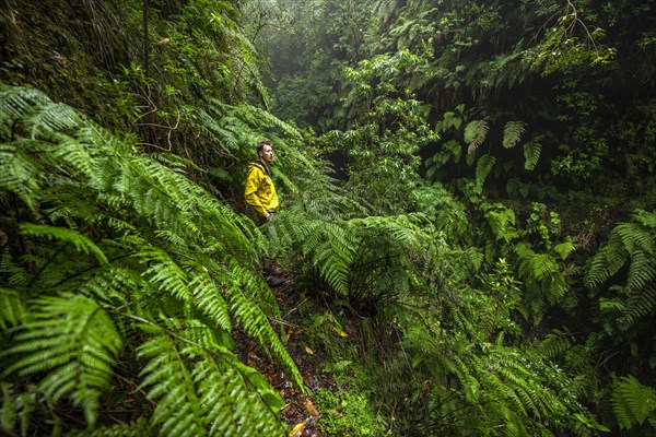 Hikers on a narrow footpath among ferns