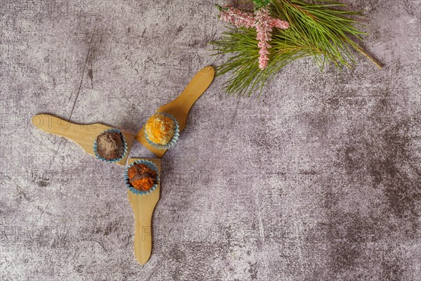 Sweet truffles of different flavors on a wooden spoon with pine boughs