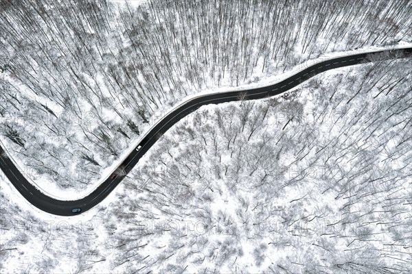 Winding country road leads through a forest in the Swabian Alb