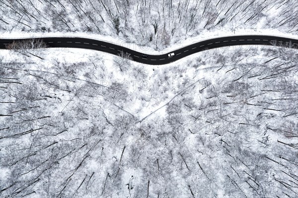 Winding country road leads through a forest in the Swabian Alb