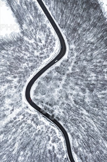 Winding country road leads through a forest in the Swabian Alb