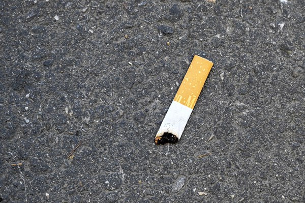 Cigarette butts