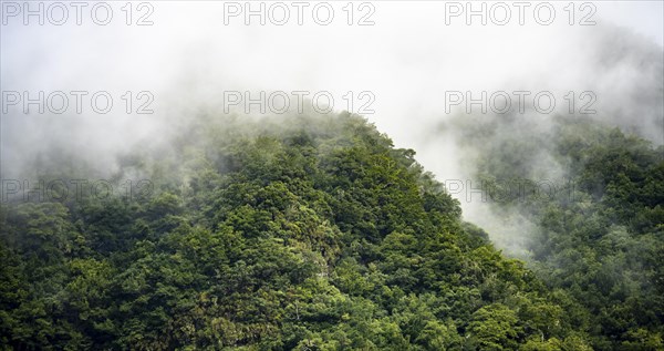 Mountains with fog