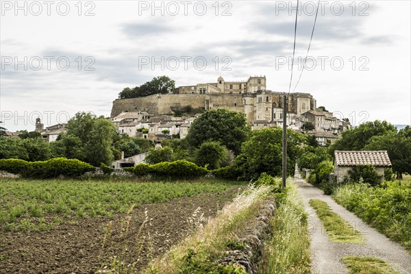 Village view with castle