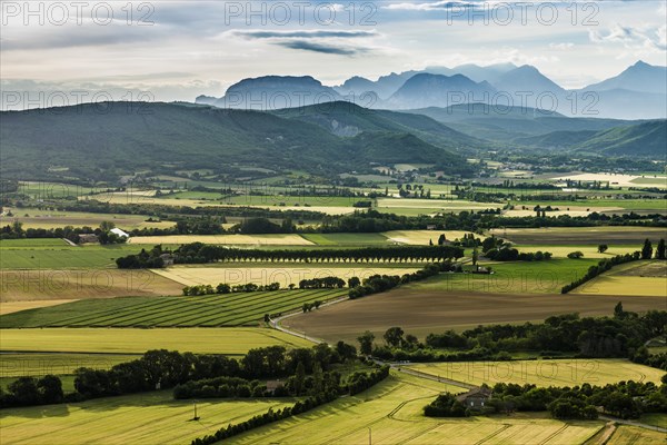 Landscape near Marsanne