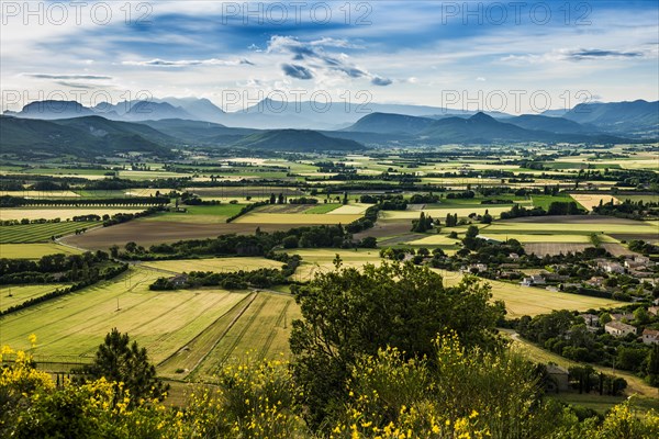 Landscape near Marsanne