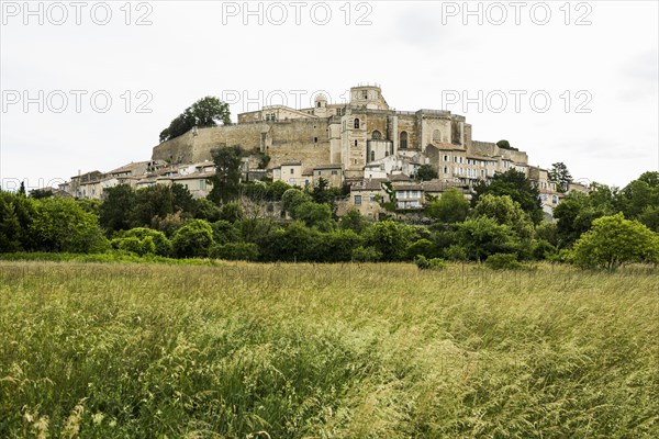 Village view with castle