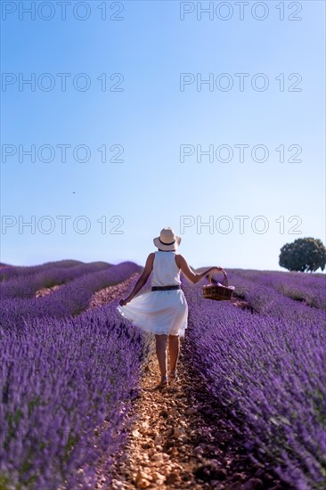 A woman in a summer lavender field with a hat picking flowers