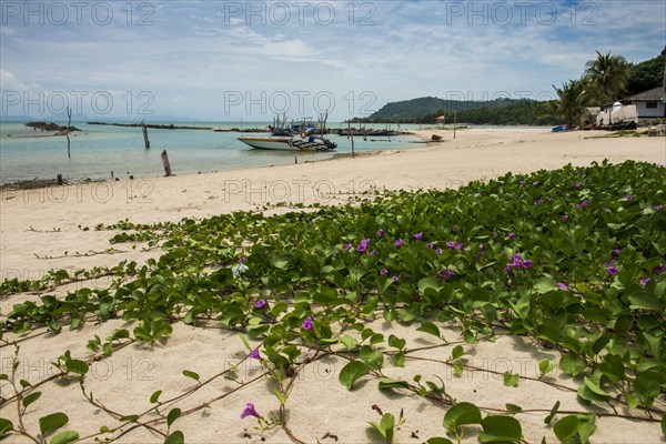 Bang Kao Beach