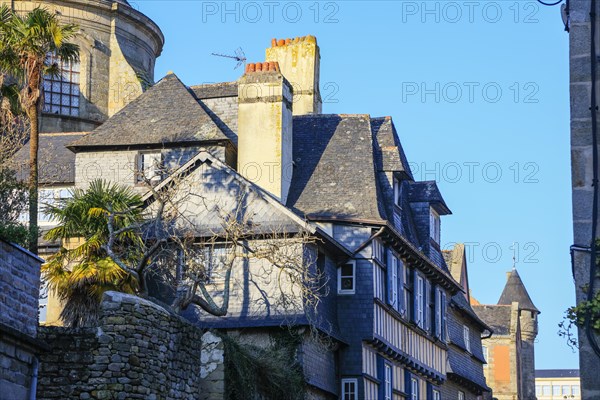 Half-timbered house Rue Elie Freron