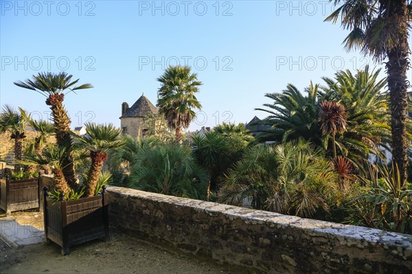 Botanical Garden Jardin de la Retraite on Rue Elie Freron