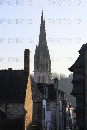 Rue Elie Freron