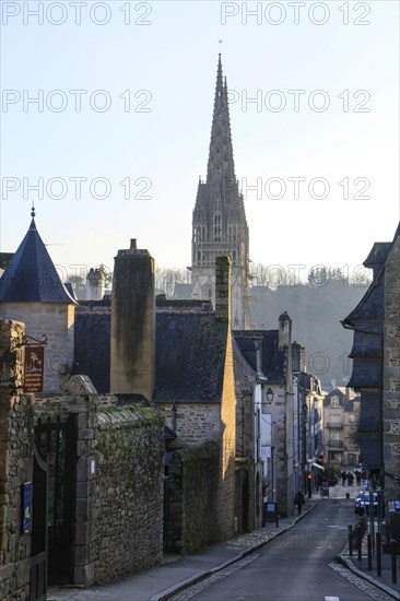 Rue Elie Freron