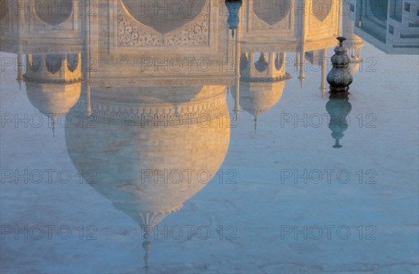 Taj Mahal reflected in the garden water pool on an early February morning