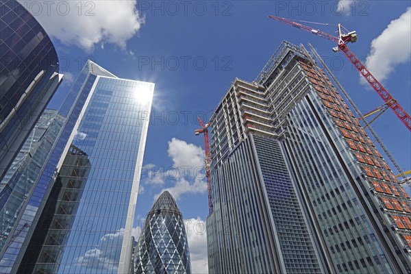 Skyscrapers soaring into the sky