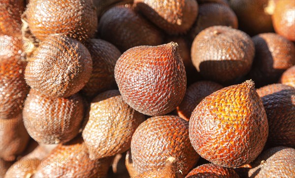 Salak fruit