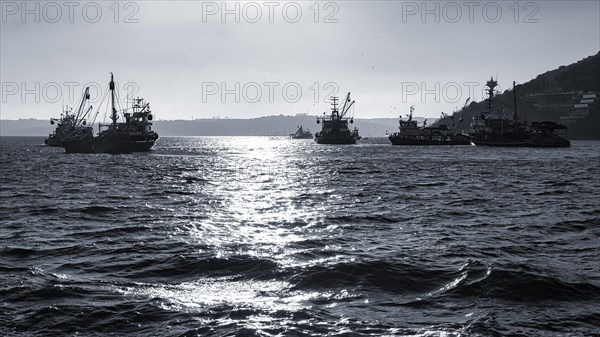 Silhouettes of fishing boats