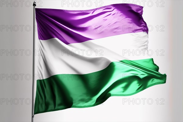 GenderQueer flag white background