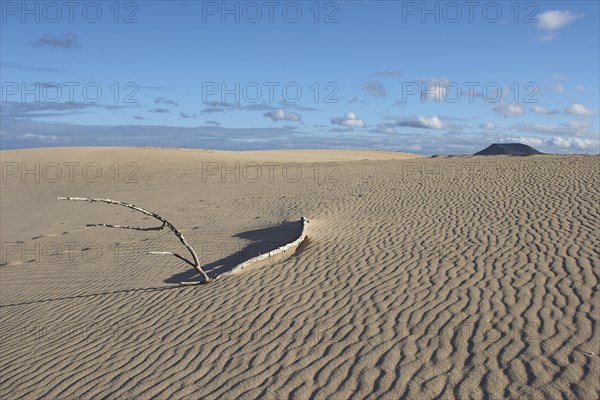 Sand desert with wave pattern