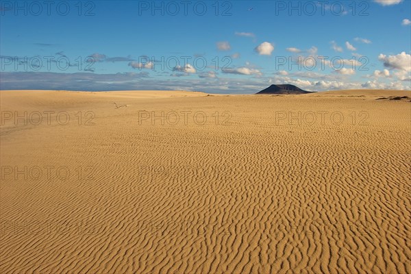 Yellow sand desert