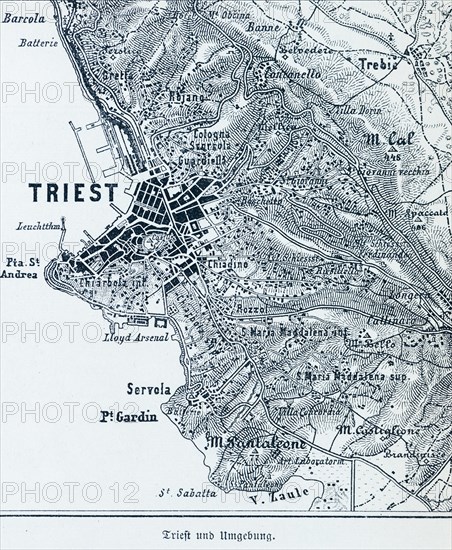 City of Trieste