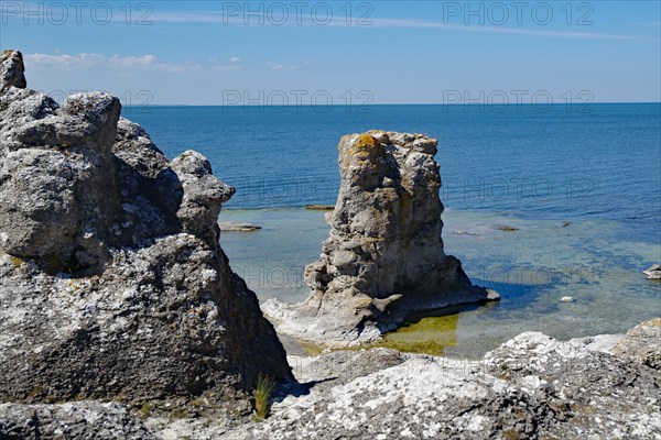 Raukar rocks by the sea