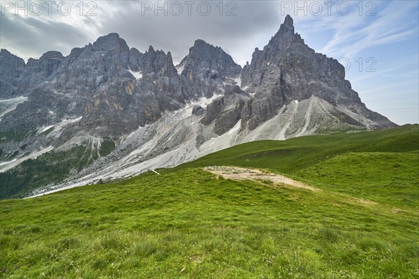 Green alpine meadows with mountain panorama
