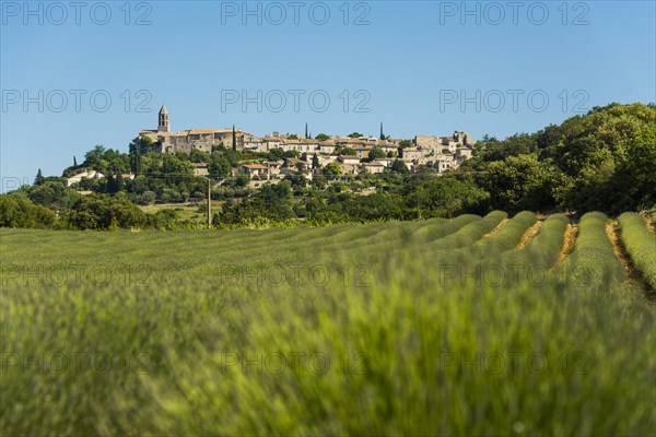 Medieval village and lavender field