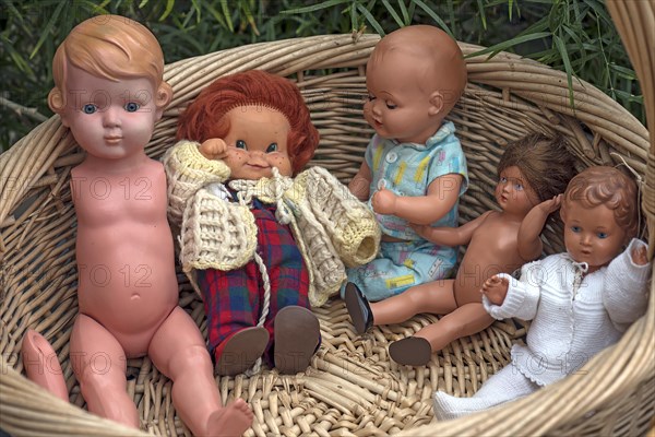 Antique baby dolls in a basket
