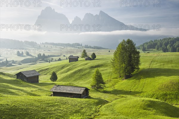 Alpine huts on green pastures in front of mountains