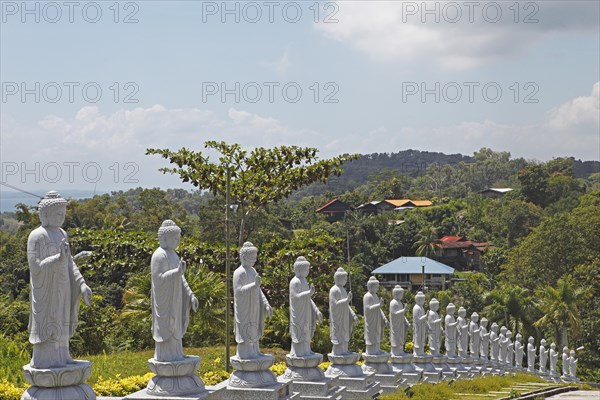 Buddha statues line the path to Puu Sih Syh Temple