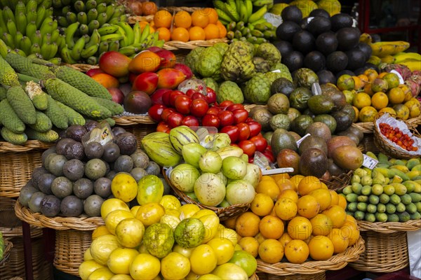 Fruit and vegetable stall at the Mercado dos Lavradores